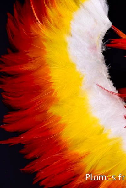 Frangia gallo - lungo. piume 10-15 cm - bianco-giallo-rosso